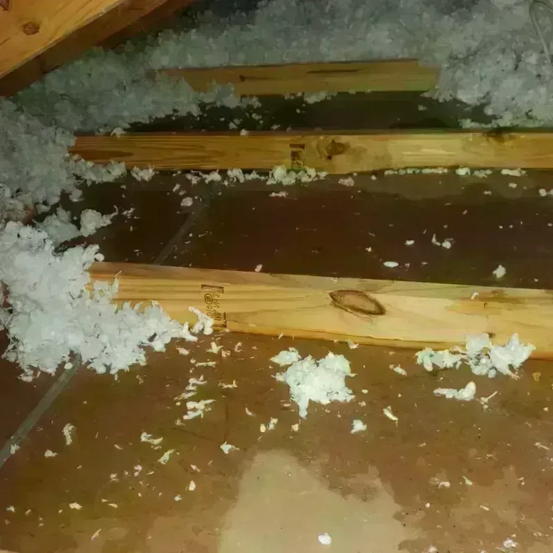 Attic Water Damage in Holts Summit, MO