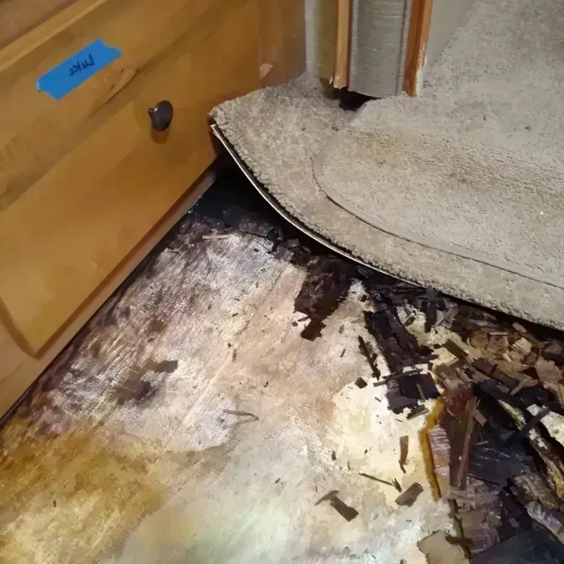 Wood Floor Water Damage in Holts Summit, MO